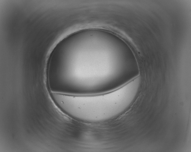 X0000073431512200607280952