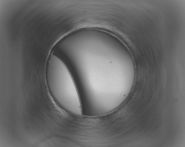 X0000073431513200607280952