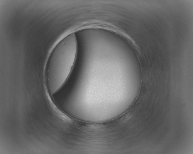 X0000073431522200607280952