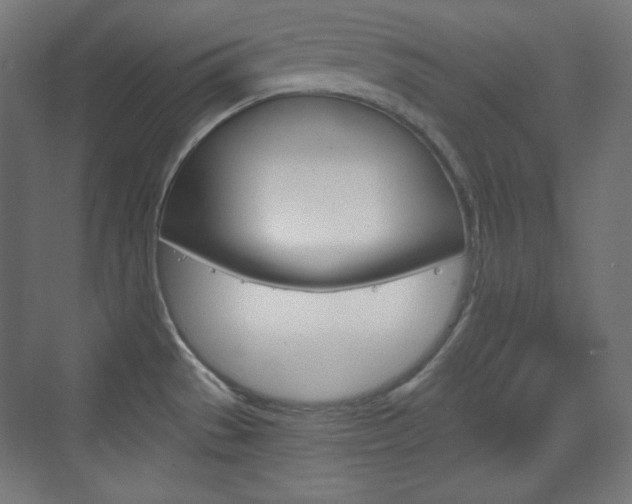 X0000073431529200607280952