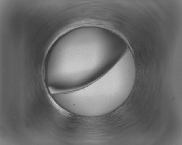 X0000073431531200607280952