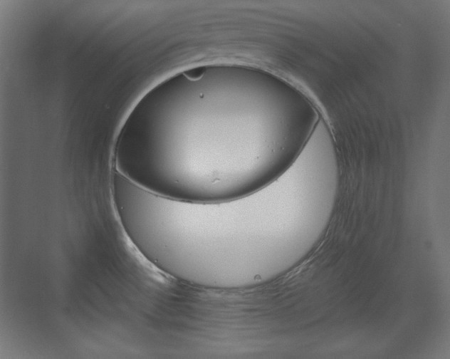 X0000073431532200607280952