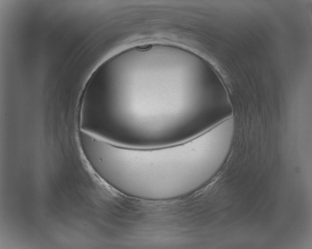X0000073431534200607280952