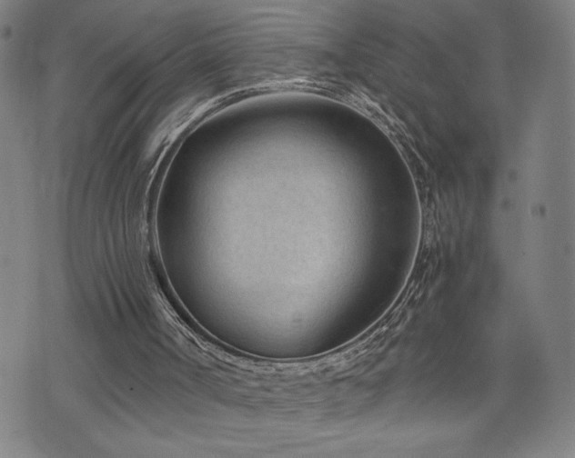 X0000073430002200607281203
