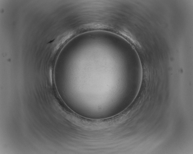 X0000073430014200607281203