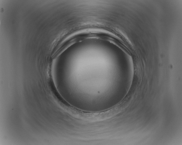 X0000073430023200607281202