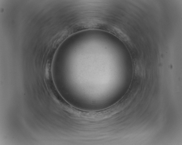 X0000073430026200607281202