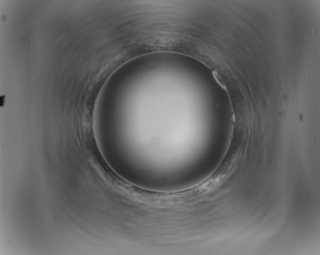 X0000073430040200607281202