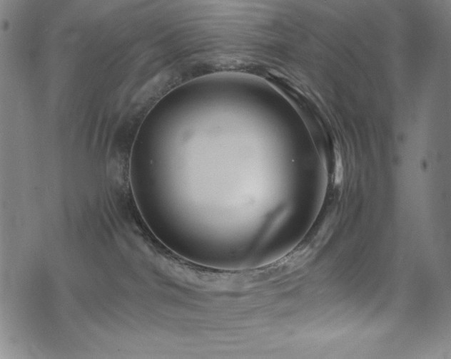 X0000073430044200607281202