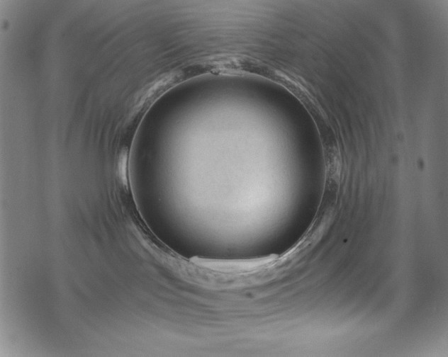 X0000073430047200607281202