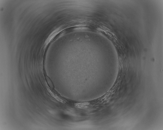 X0000073430051200607281201