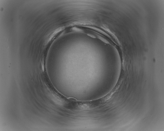 X0000073430062200607281201
