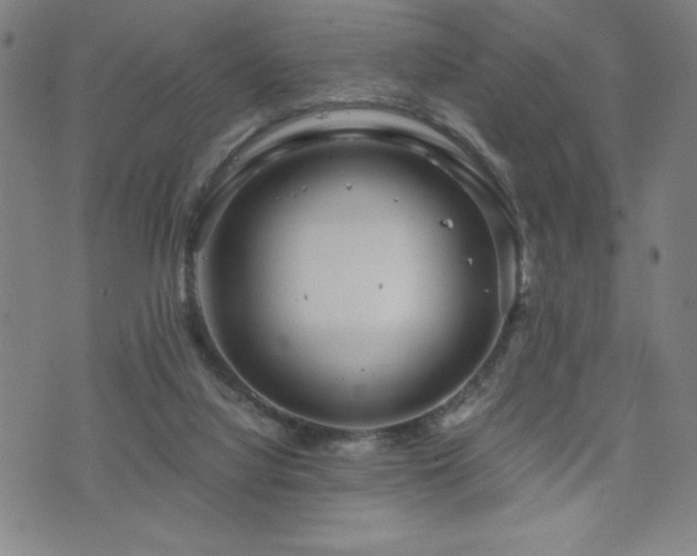 X0000073430068200607281202