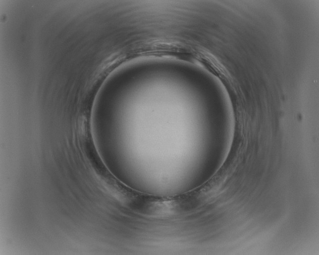 X0000073430071200607281202