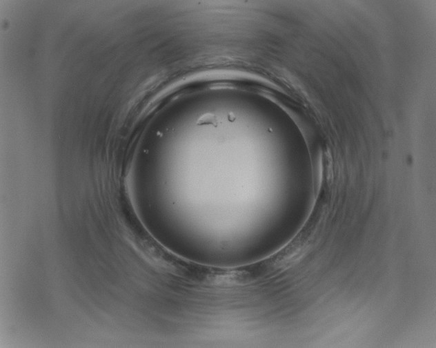 X0000073430072200607281202