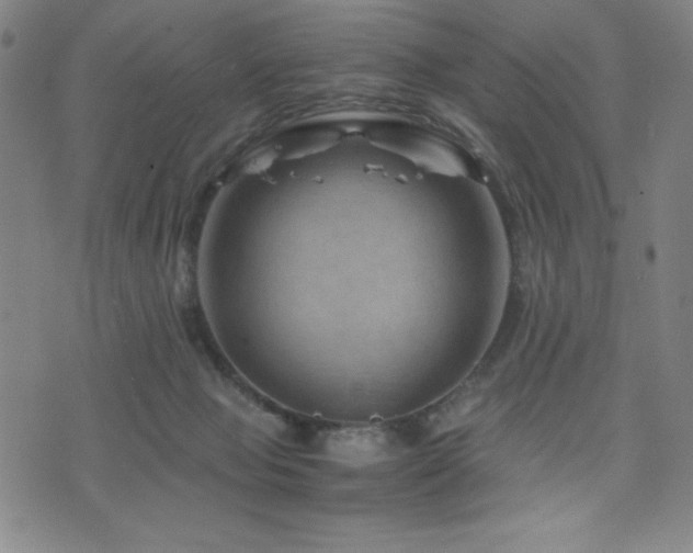 X0000073430077200607281202