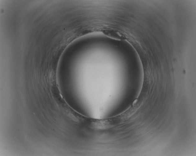 X0000073430079200607281202