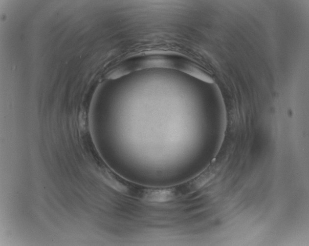 X0000073430081200607281202