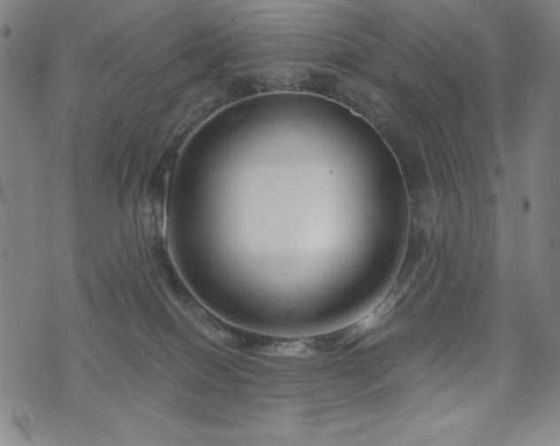 X0000073430086200607281202