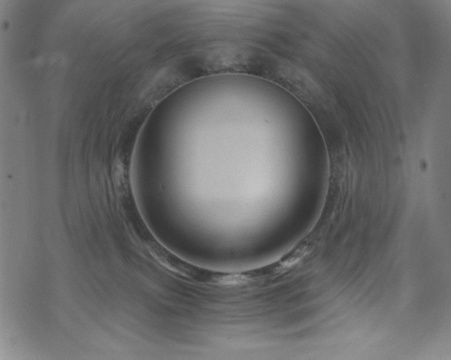 X0000073430087200607281202