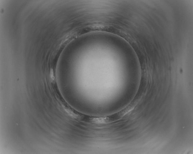 X0000073430089200607281202