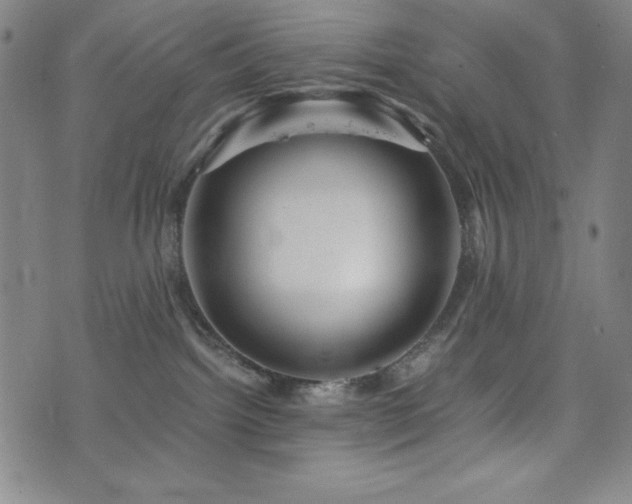 X0000073430092200607281202