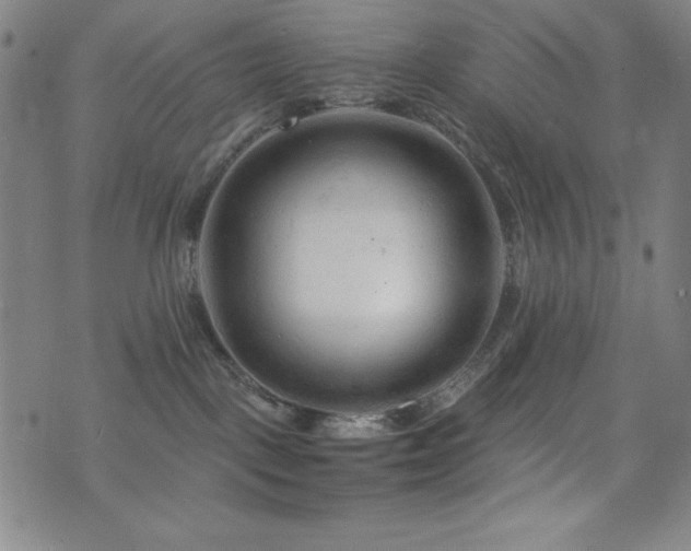 X0000073430093200607281202