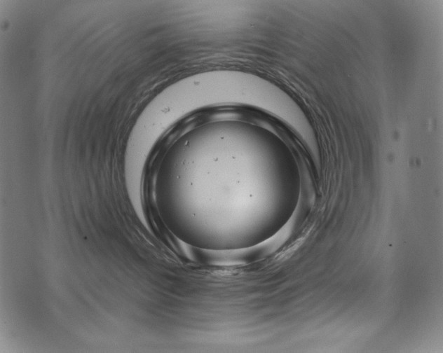 X0000073430096200607281202