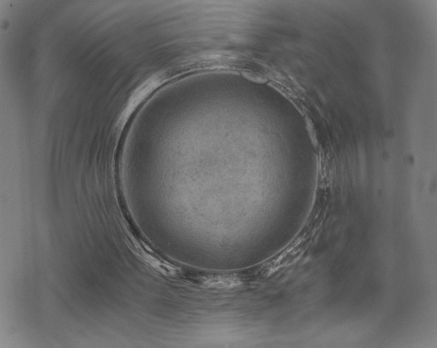 X0000073430099200607281201