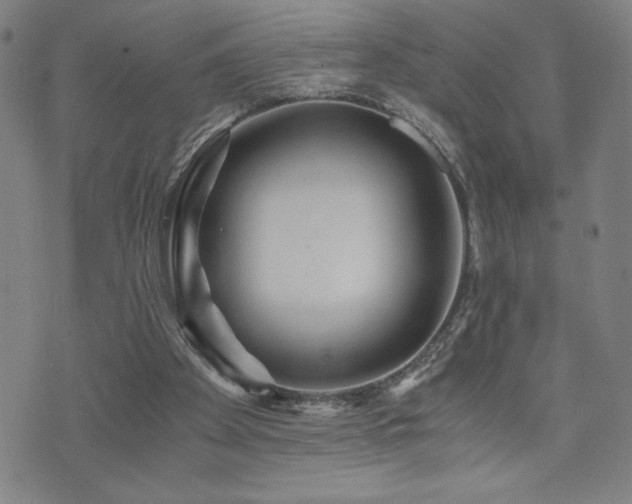 X0000073430105200607281201