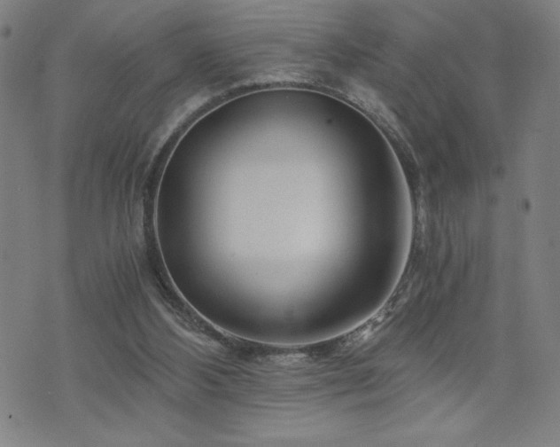 X0000073430108200607281201