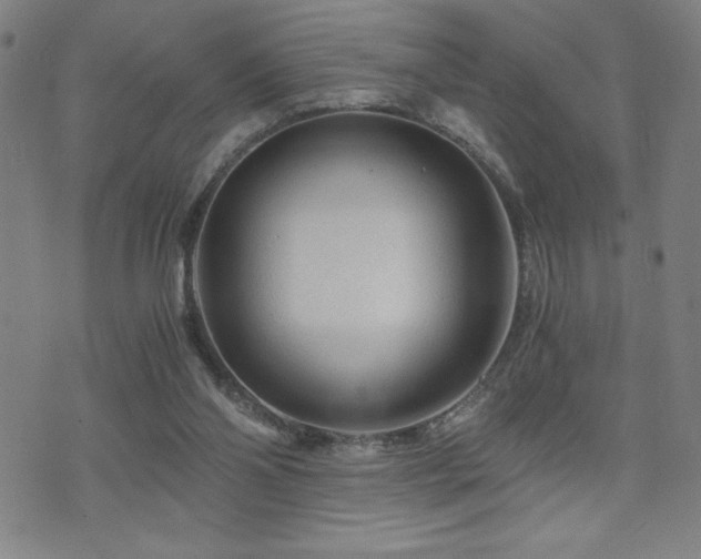 X0000073430110200607281201