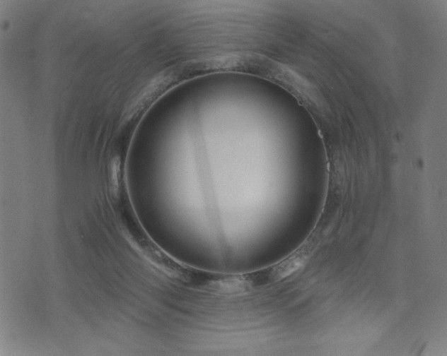 X0000073430118200607281201