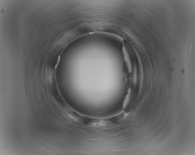 X0000073430125200607281201