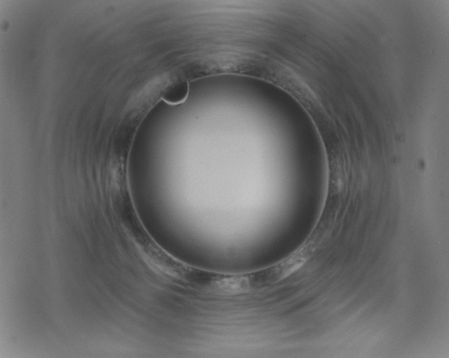 X0000073430126200607281201
