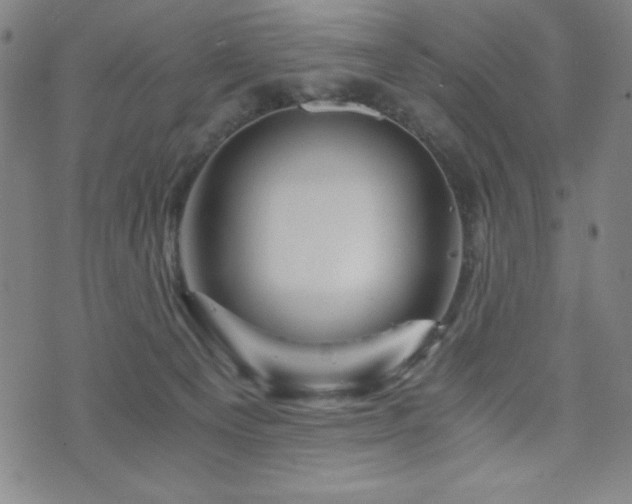 X0000073430129200607281201