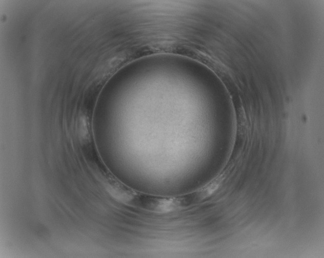 X0000073430130200607281201