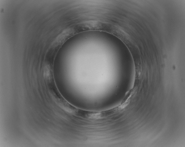 X0000073430132200607281201