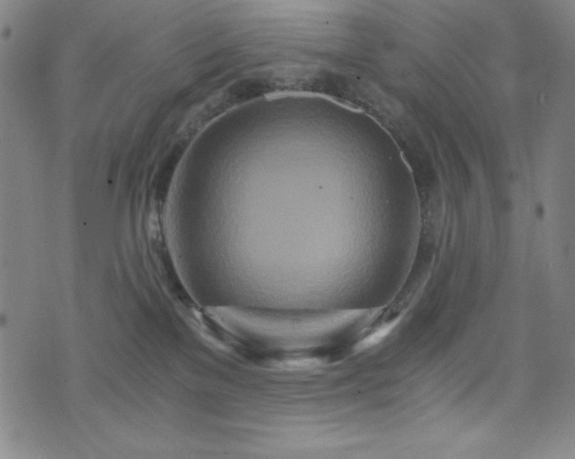 X0000073430137200607281201