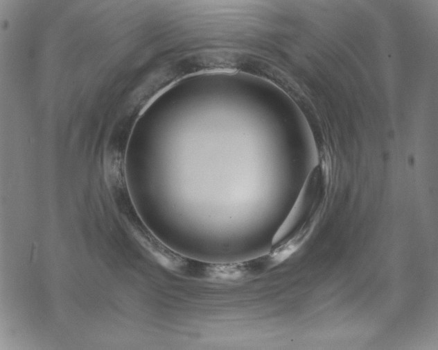 X0000073430141200607281200