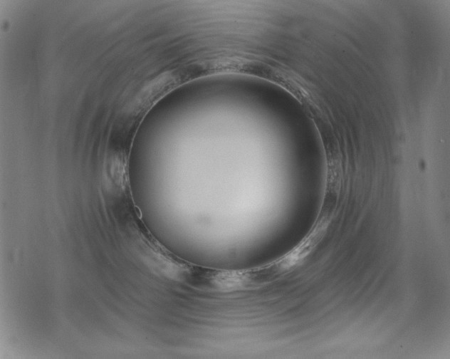 X0000073430142200607281200