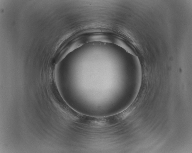 X0000073430164200607281200