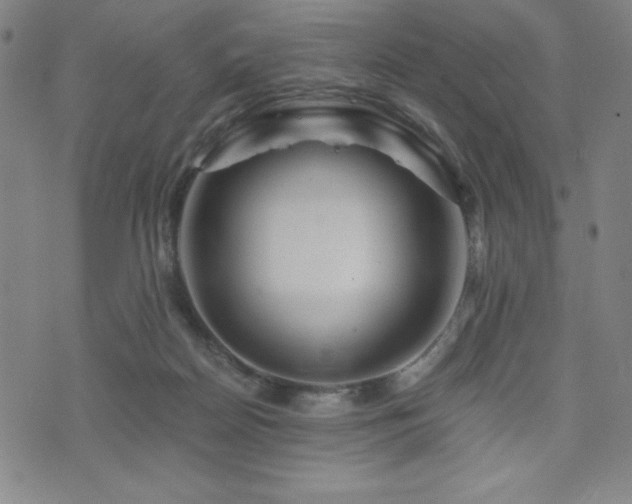 X0000073430170200607281200