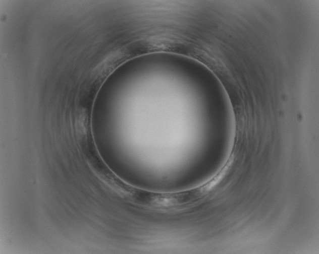 X0000073430174200607281200