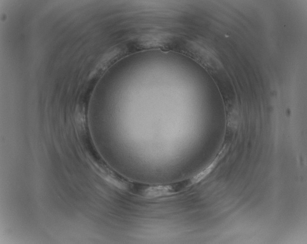X0000073430179200607281200