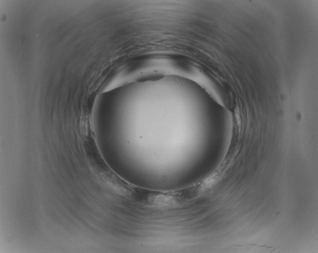 X0000073430180200607281200