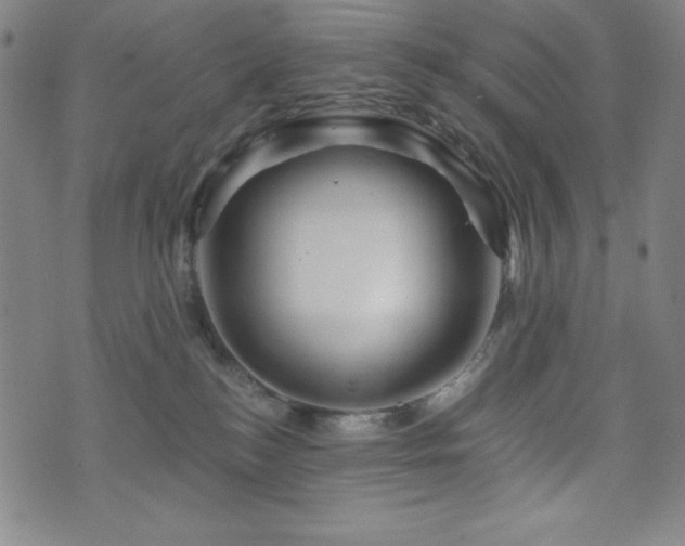 X0000073430184200607281200