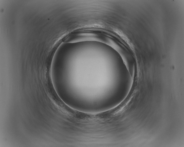 X0000073430201200607281200