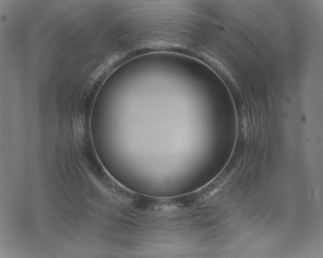 X0000073430208200607281159