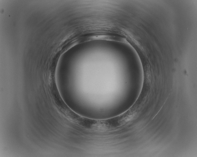 X0000073430211200607281159